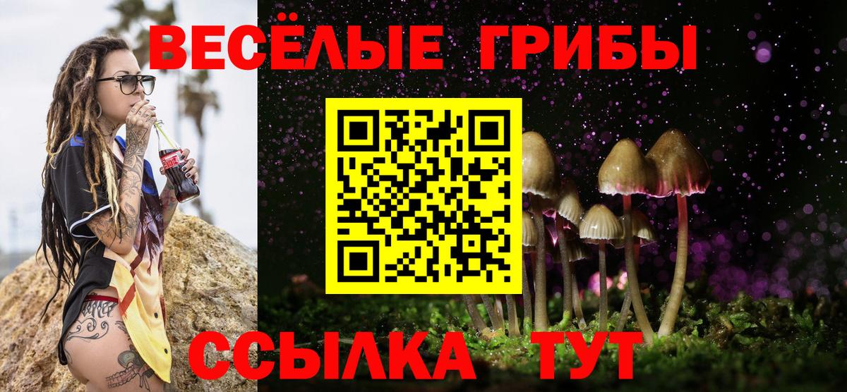 Сальск  Галлюциногенные грибы мицелий  Галлюциногенные грибы MAGIC MUSHROOMS  Вход с VPN 